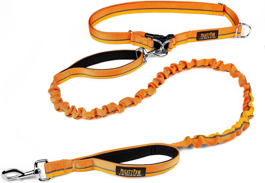 Lowkey Paws Hands-Free Dog Leash | Bungee Waist Belt