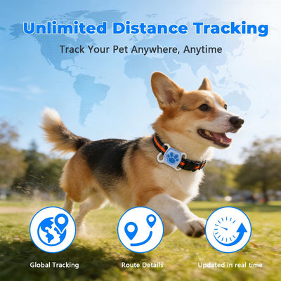 Lowkey Paws GPS Tracker | No Monthly Fee, Real-Time Tracking