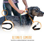 Lowkey Paws Hands-Free Dog Leash | Bungee Waist Belt