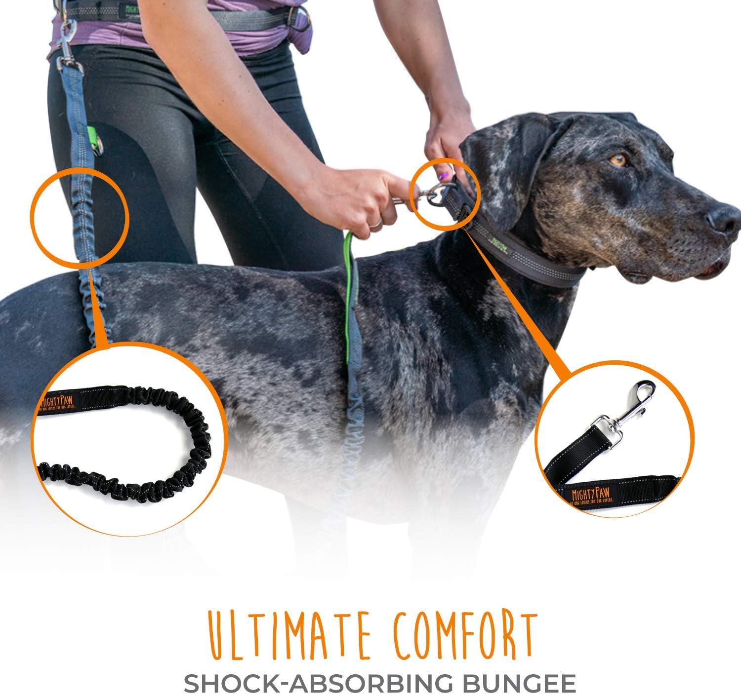 Lowkey Paws Hands-Free Dog Leash | Bungee Waist Belt