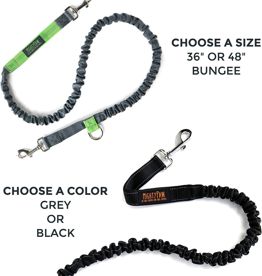 Lowkey Paws Hands-Free Dog Leash | Bungee Waist Belt