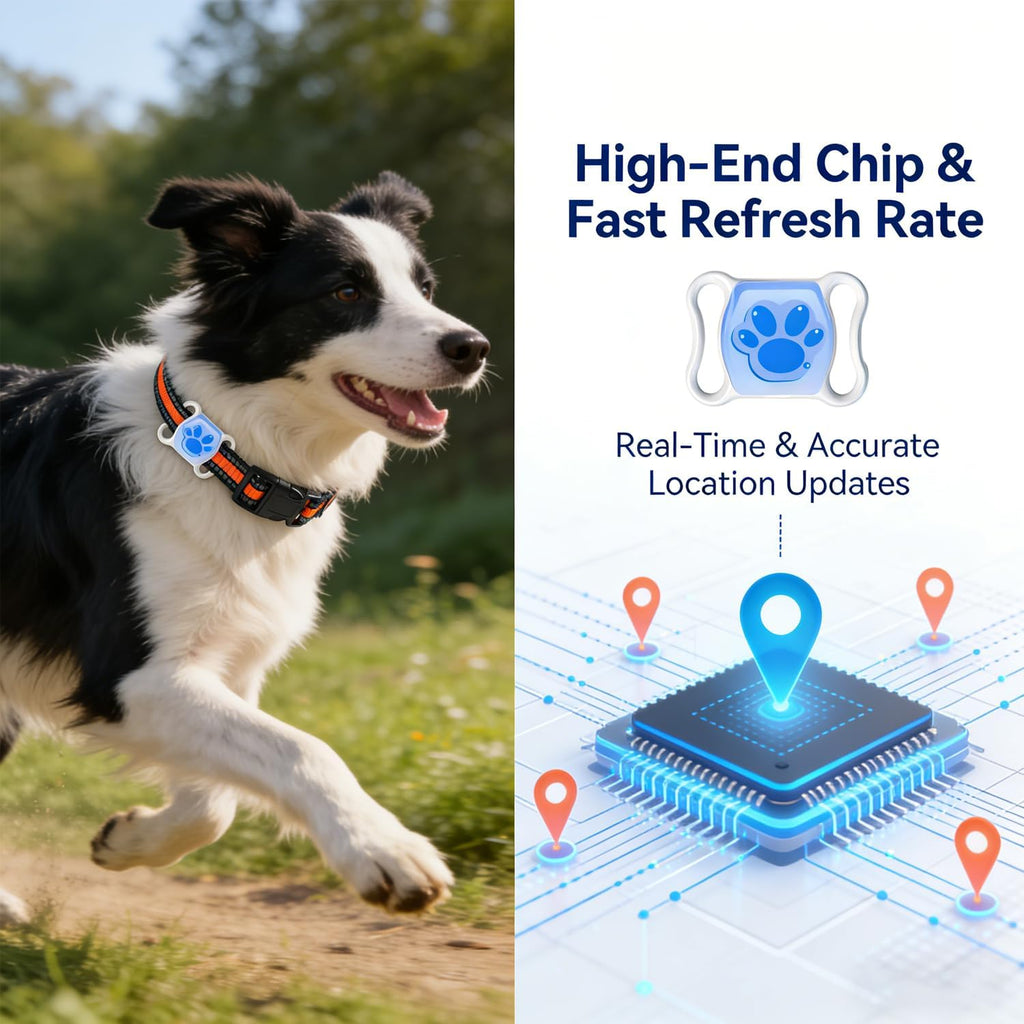 Lowkey Paws GPS Tracker | No Monthly Fee, Real-Time Tracking
