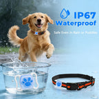 Lowkey Paws GPS Tracker | No Monthly Fee, Real-Time Tracking