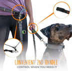 Lowkey Paws Hands-Free Dog Leash | Bungee Waist Belt