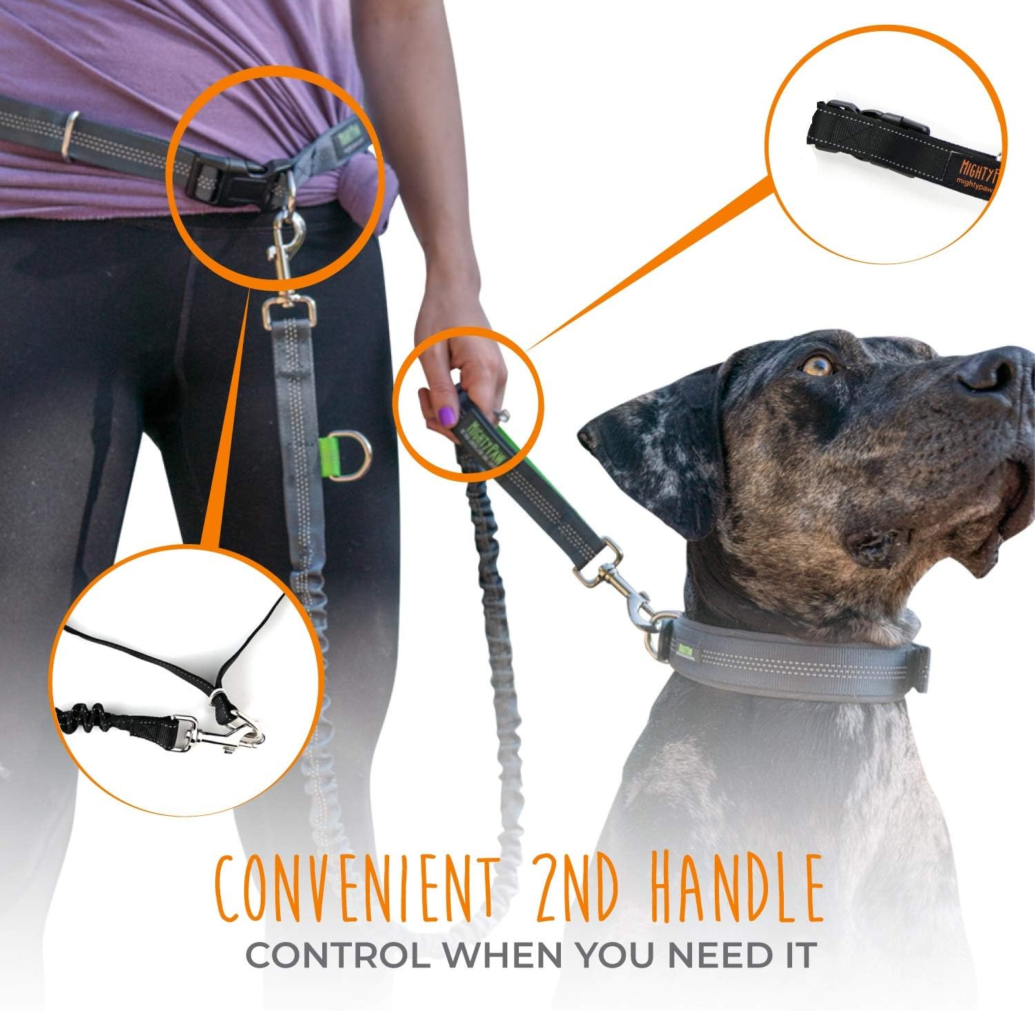 Lowkey Paws Hands-Free Dog Leash | Bungee Waist Belt