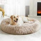 Lowkey Paws Donut Bed | Cozy Calming Cuddler 20"