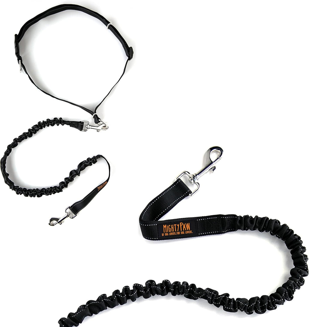 Lowkey Paws Hands-Free Dog Leash | Bungee Waist Belt