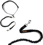 Lowkey Paws Hands-Free Dog Leash | Bungee Waist Belt