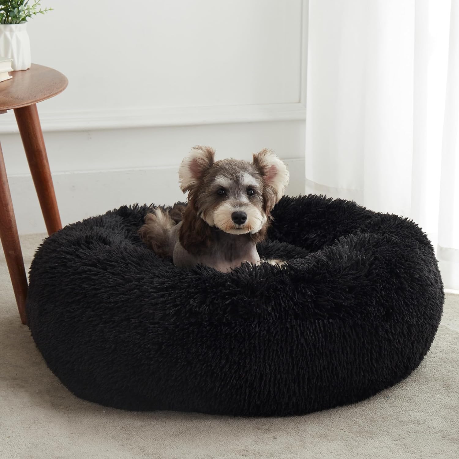 Lowkey Paws Donut Bed | Cozy Calming Cuddler 20"