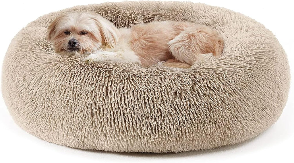 Lowkey Paws Donut Bed | Cozy Calming Cuddler 20"