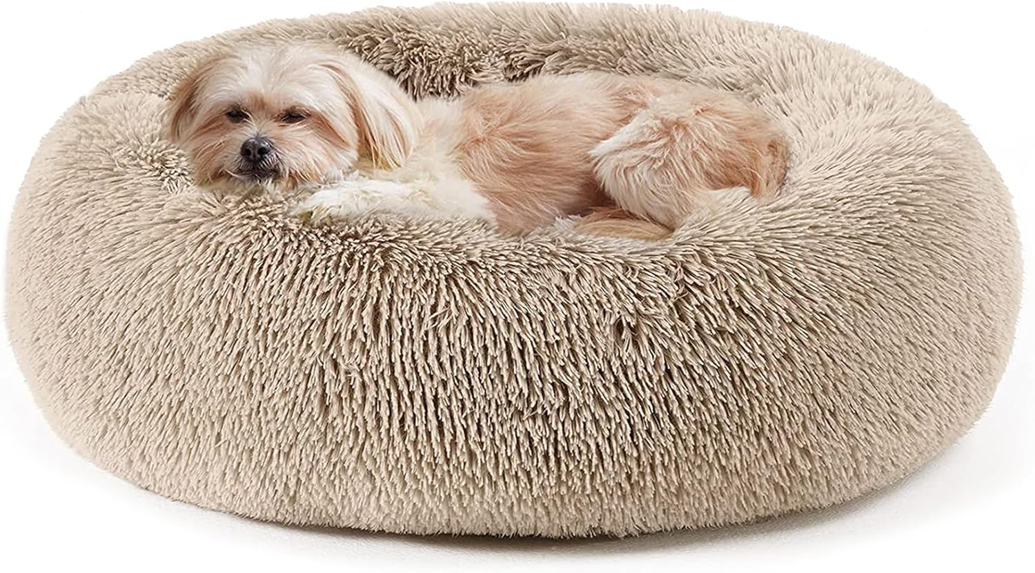 Lowkey Paws Donut Bed | Cozy Calming Cuddler 20"