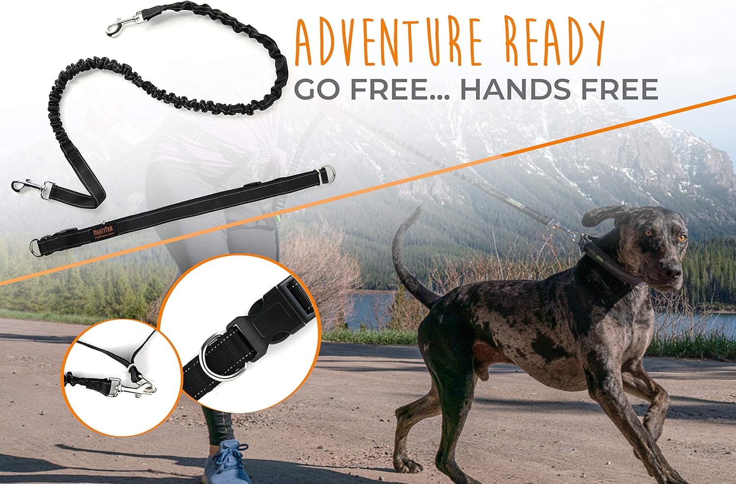 Lowkey Paws Hands-Free Dog Leash | Bungee Waist Belt