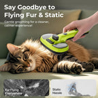 Lowkey Paws Steam Brush | Self-Cleaning 