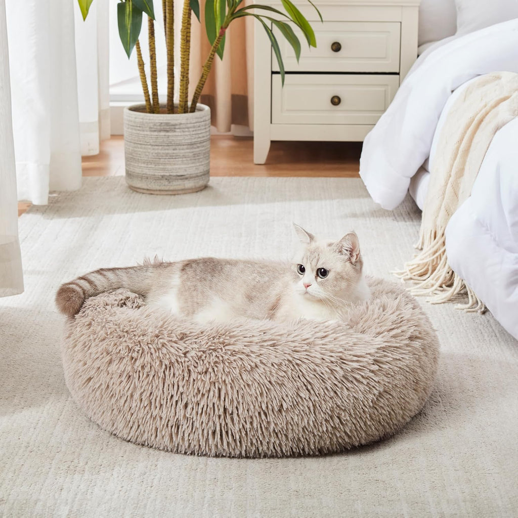 Lowkey Paws Donut Bed | Cozy Calming Cuddler 20"