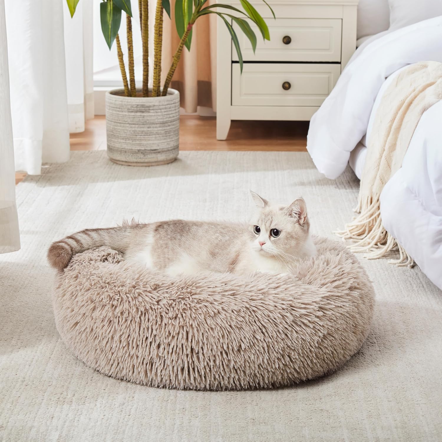 Lowkey Paws Donut Bed | Cozy Calming Cuddler 20"