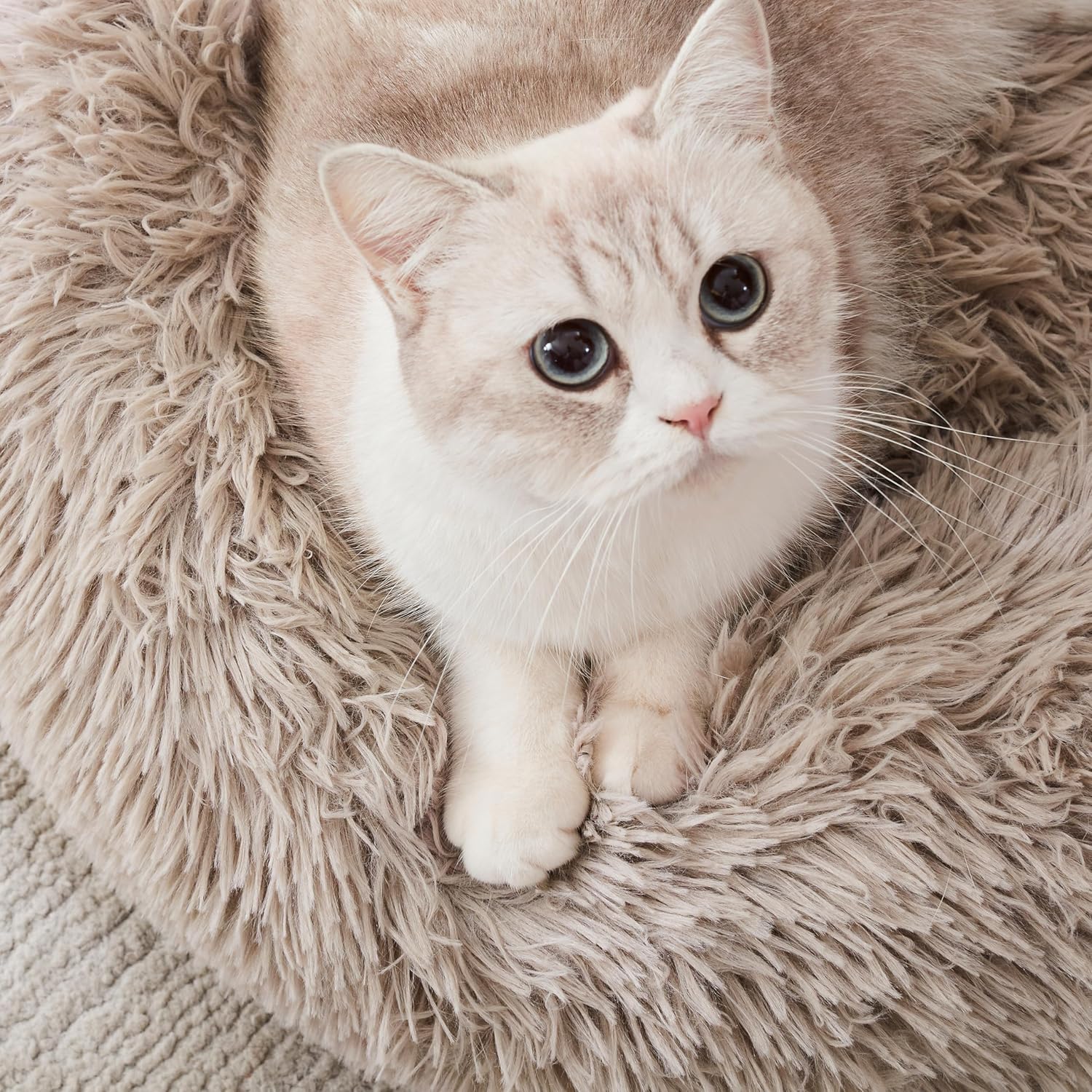 Lowkey Paws Donut Bed | Cozy Calming Cuddler 20"